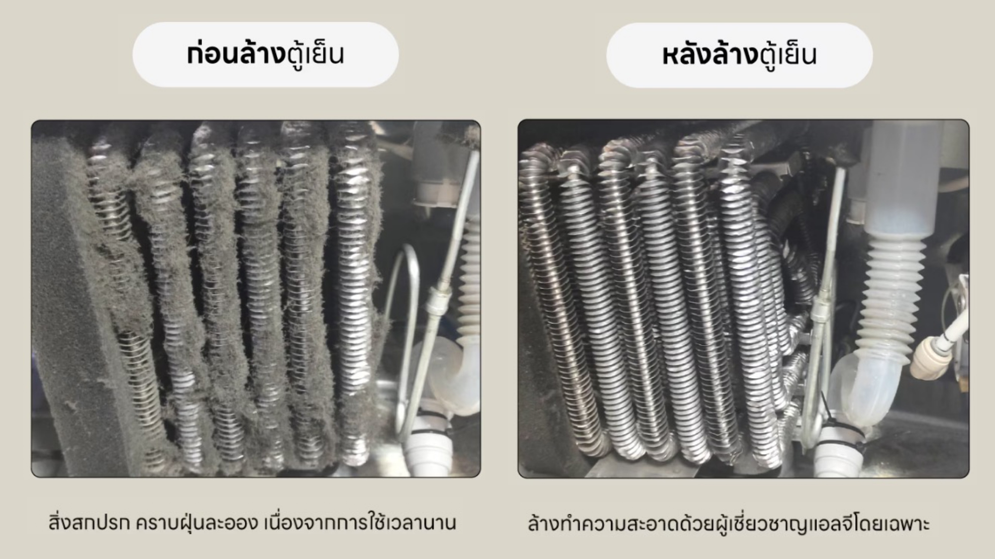 Care Service 100425_page-0006